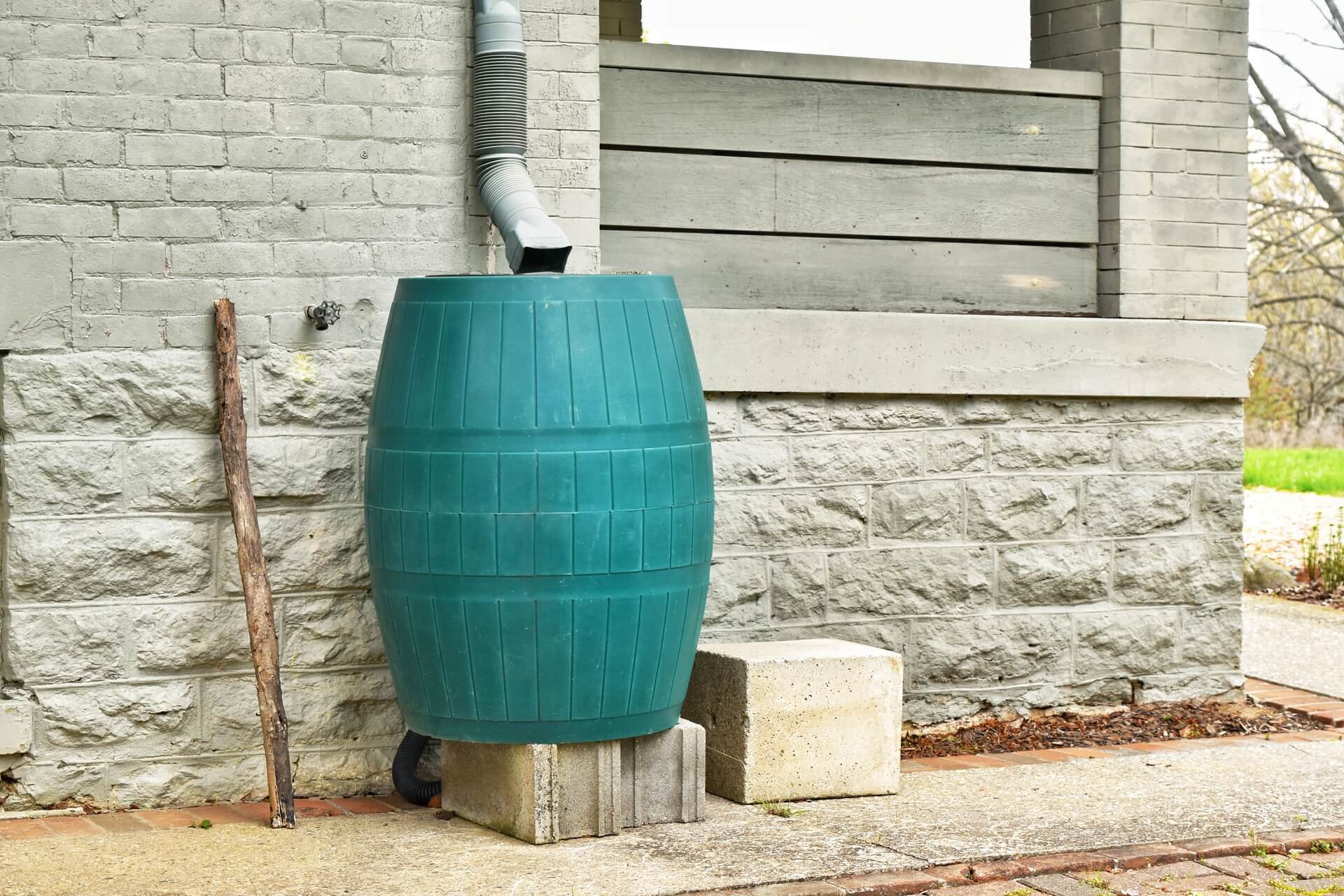 baril en plastique vert pour capturer et conserver l'eau de pluie